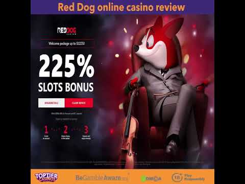 Red Dog Casino Review! #shorts