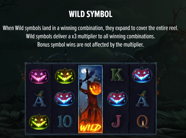 The Wicked Witches Online Slot Wild Symbol