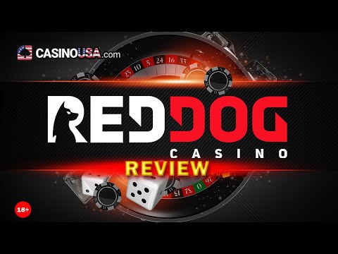 Red Dog Casino Review – Watch This before Playing – RedDog Casino Review