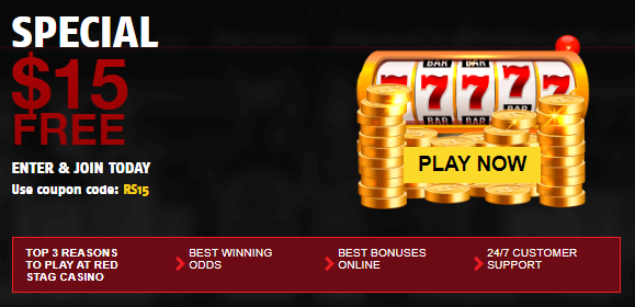 Maximize Your Winnings with the Dynasty Slot Game No Deposit Bonus