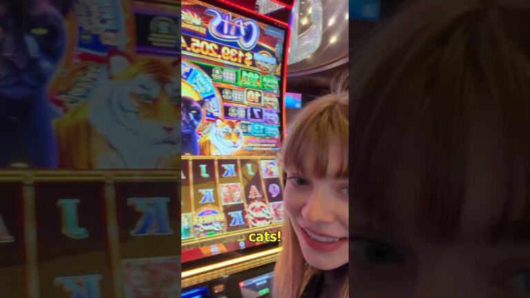 $2000 INTO CATS SLOT MACHINE