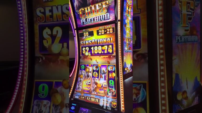 CAN WE LAND A FULL SCREEN OF BUFFALO? #slot #casino #letsgo