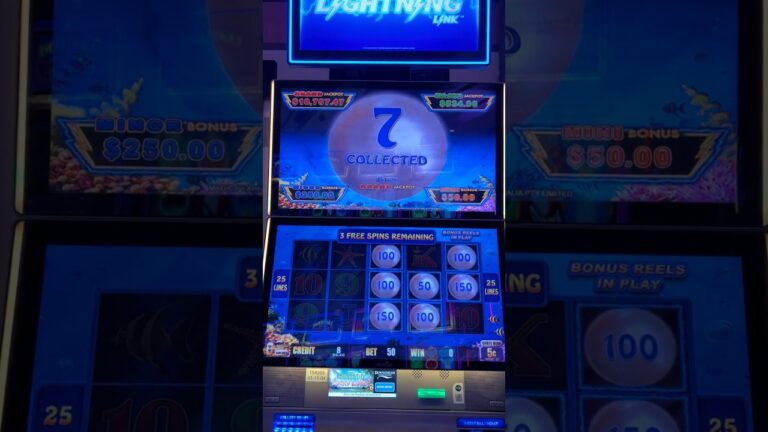LAST SPIN BONUS!